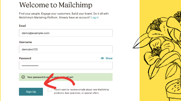 Inscreva-se no mailchimp