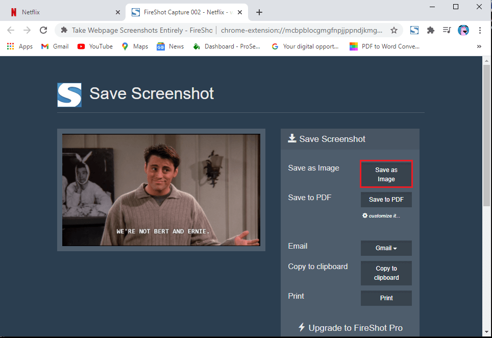 clique em'Salvar como imagem'para salvar a captura de tela no seu sistema. | Como fazer uma captura de tela no Netflix