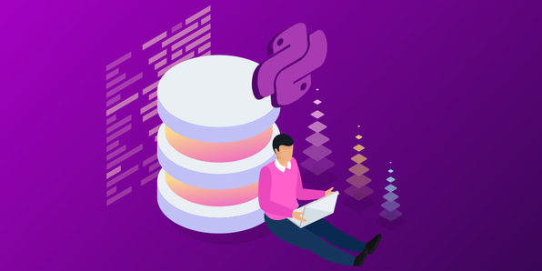 Learn Python & Django Developer Bundle