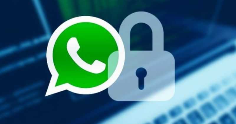 Nova falha de segurança do WhatsApp pode permitir que o invasor suspenda sua conta