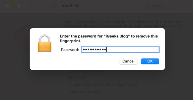 Enter Senha do Mac e clique em OK