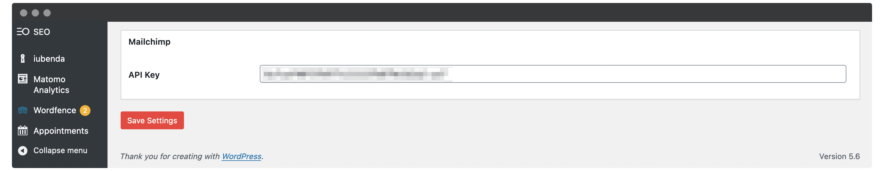 Adicionando uma chave de API no WordPress.