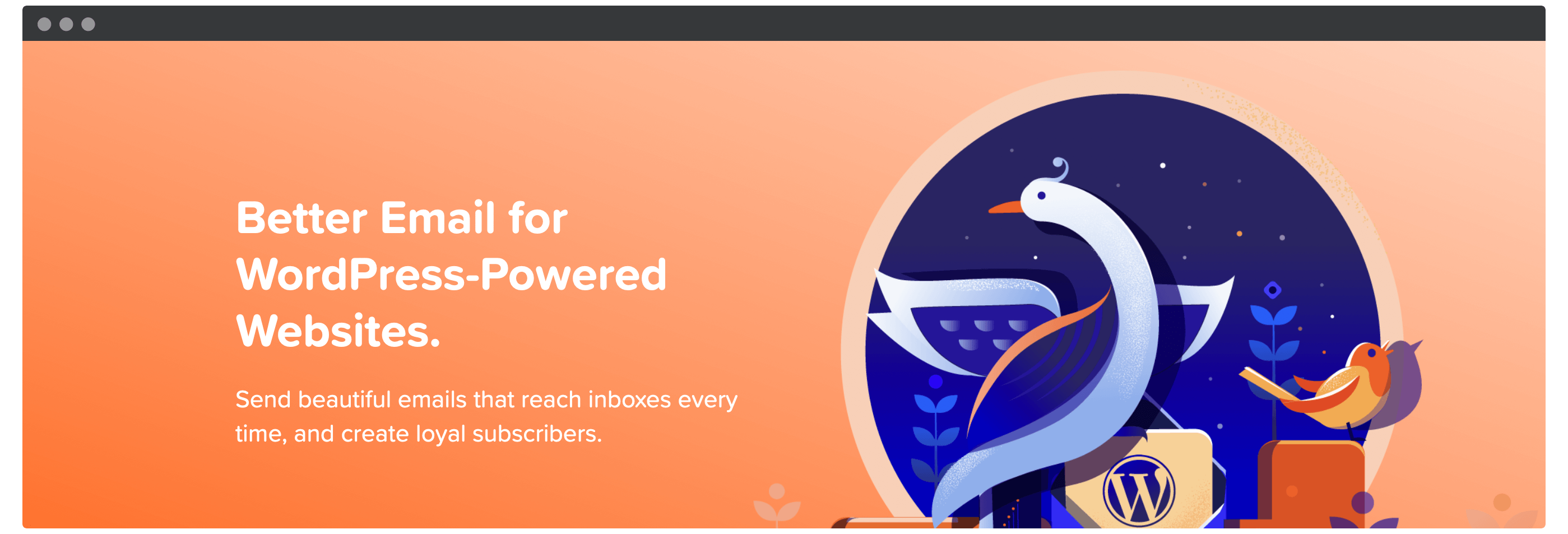 O site MailPoet.