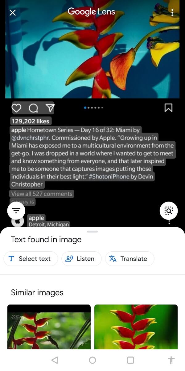 Agora, o Google irá destacar todo o texto presente na foto, que agora você pode copiar.