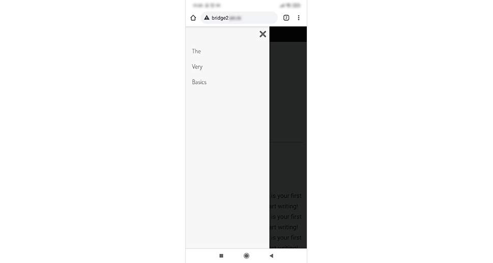 Bridge Mobile Menu Preview