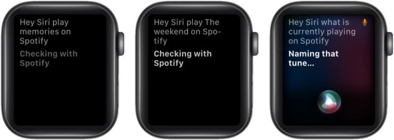 Usar Siri com Spotify no Apple Watch