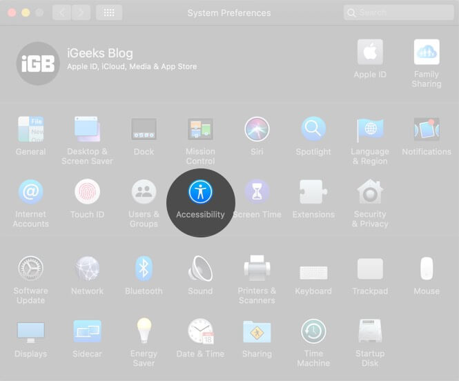 Abra as Preferências do Sistema e clique em Acessibilidade no Mac