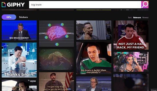 Giphy meme search engine