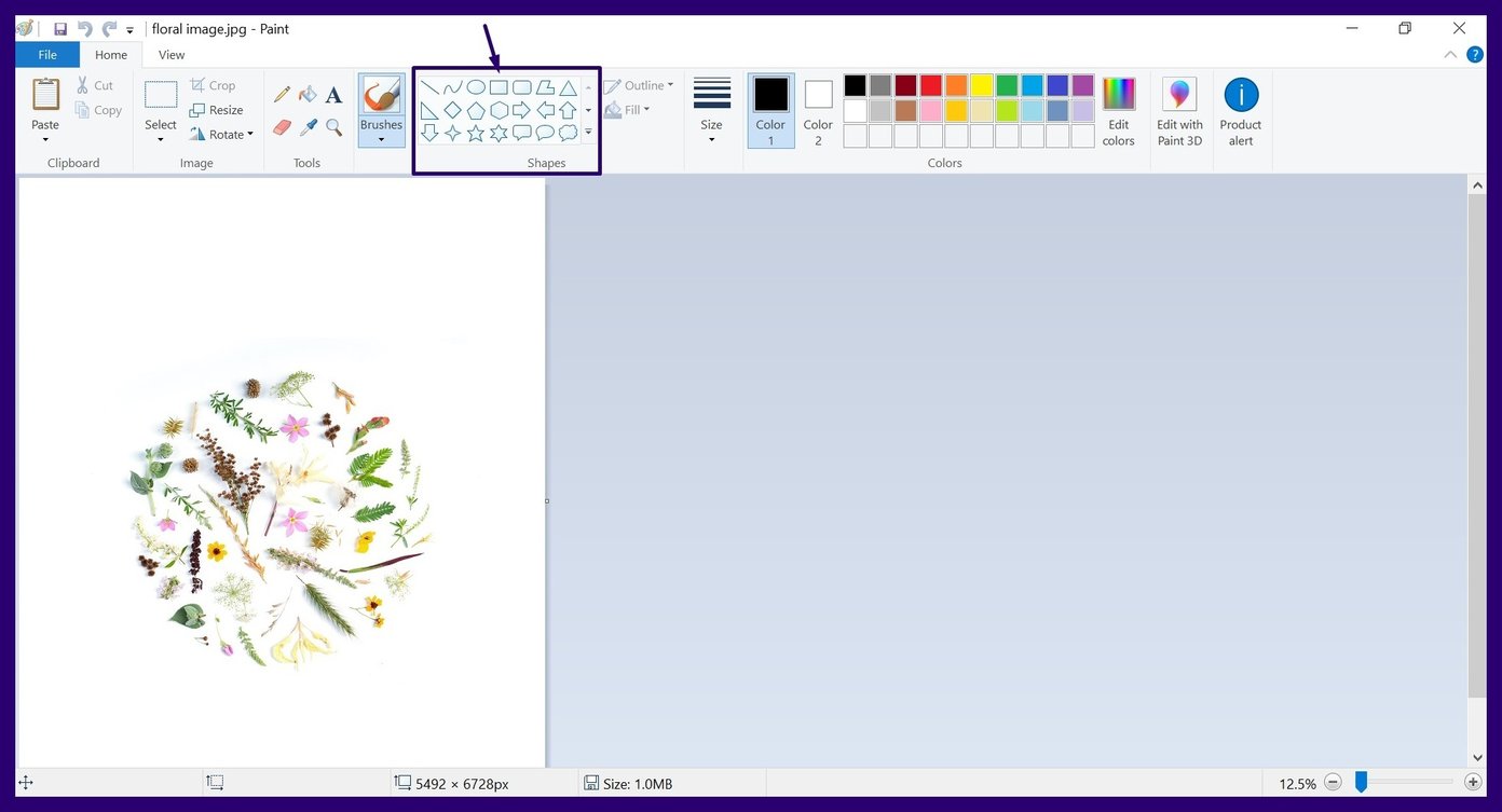 Adicionar bordas usando o passo 5 do microsoft paint