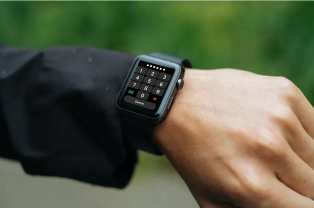Como apagar automaticamente o Apple Watch após falhas nas tentativas de senha
