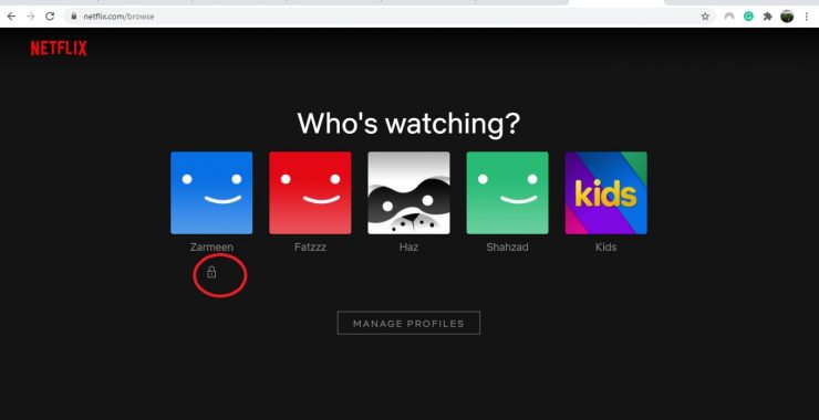 PIN Lock no Netflix Profile