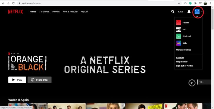 PIN Lock on Netflix Profile