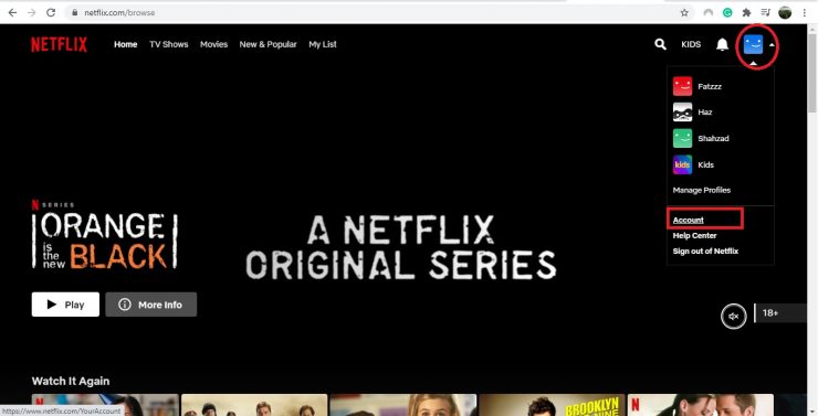 PIN Lock no Netflix Profile