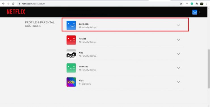 PIN Lock no Netflix Profile