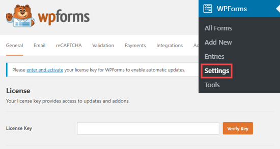 Digite a licença WPForms chave