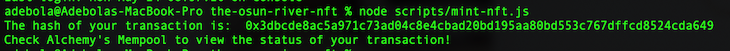 Mint NFT Terminal