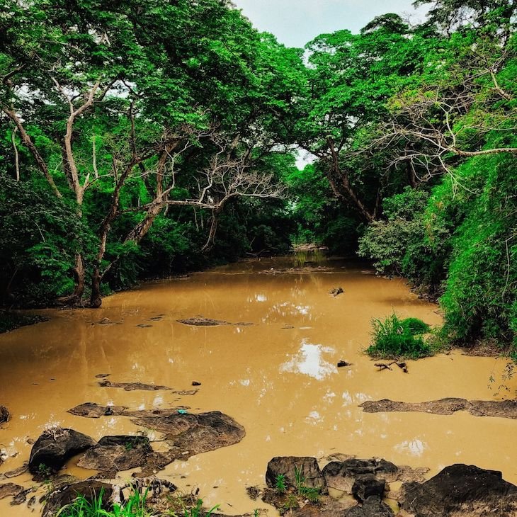 Osun River NFT Art