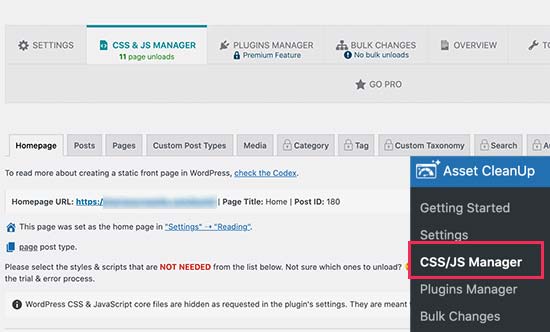 CSS/JS Manager