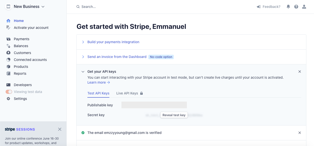 Captura de tela do site do Stripe onde se pode encontrar sua chave de acesso