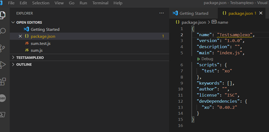 Captura de tela do package.json instalado corretamente