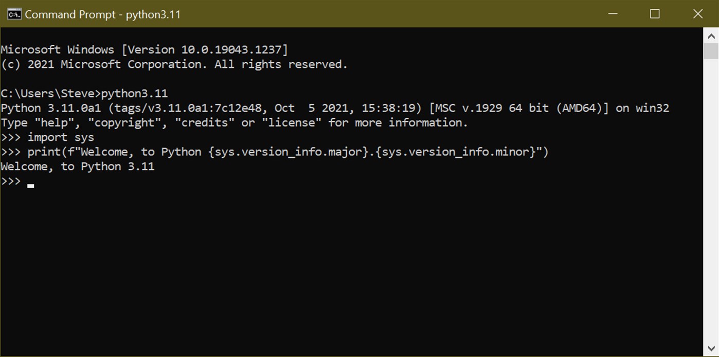 Interpretador oficial de Python agora disponível na Microsoft Store ...