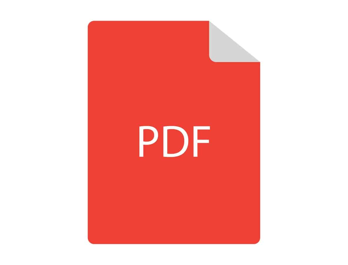 Windows pdf icon